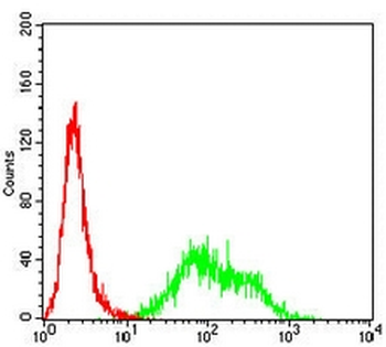 CD157 Mouse Monoclonal Antibody