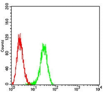 B-RAF Mouse Monoclonal Antibody