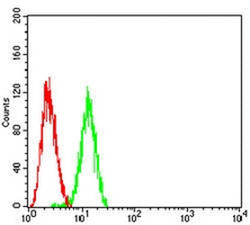 B-RAF Mouse Monoclonal Antibody
