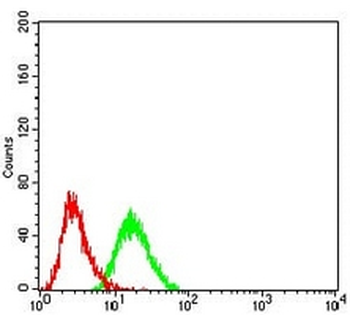 BMP7 Mouse Monoclonal Antibody