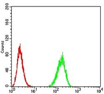 Amphiphysin 2 Mouse Monoclonal Antibody