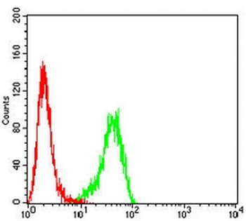 BCL2 Mouse Monoclonal Antibody