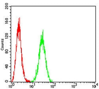 B4GALNT1 Mouse Monoclonal Antibody