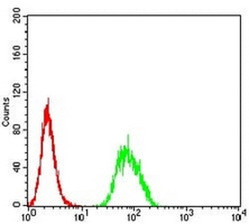 B3GAT1 Mouse Monoclonal Antibody