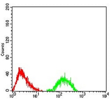 Ataxin 1 Mouse Monoclonal Antibody