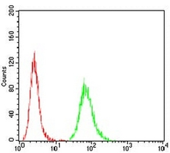 ATG5 Mouse Monoclonal Antibody