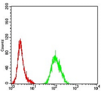 ATG4B Mouse Monoclonal Antibody