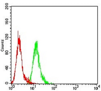 ATG10 Mouse Monoclonal Antibody