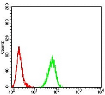 ASF1B Mouse Monoclonal Antibody