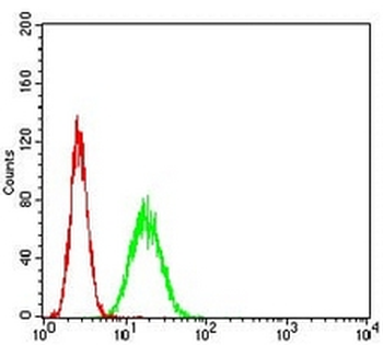 APE1 Mouse Monoclonal Antibody