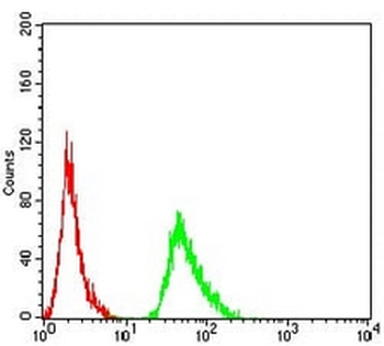 AMY1A Mouse Monoclonal Antibody