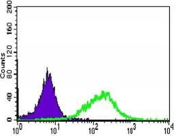 ALPI Mouse Monoclonal Antibody