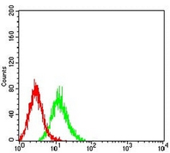 ALDOA Mouse Monoclonal Antibody