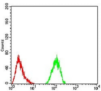 ALDH6A1 Mouse Monoclonal Antibody