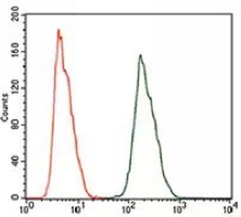 ALDH2 Mouse Monoclonal Antibody