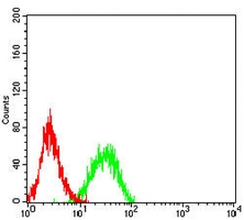ALDH1L1 Mouse Monoclonal Antibody