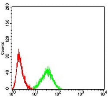 AKT Mouse Monoclonal Antibody