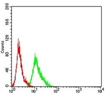 AEBP2 Mouse Monoclonal Antibody