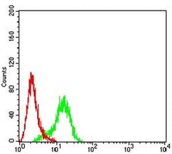 ARP3 Mouse Monoclonal Antibody