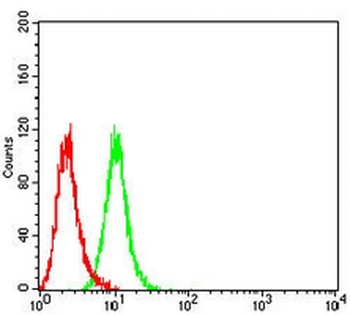 Smooth Muscle Actin Mouse Monoclonal Antibody