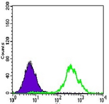 ACLY Mouse Monoclonal Antibody