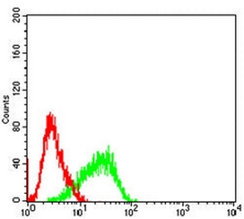 Acetylcholinesterase Mouse Monoclonal Antibody