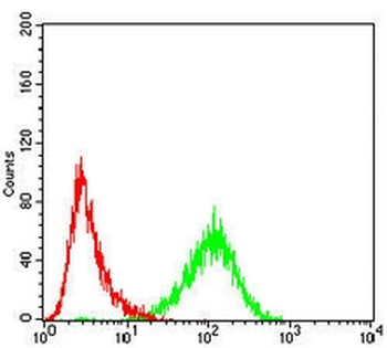 ACADM Mouse Monoclonal Antibody