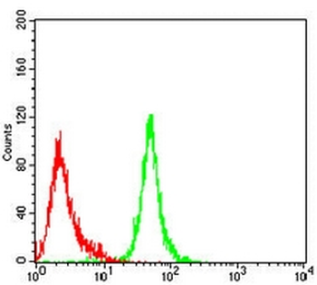 ACAA1 Mouse Monoclonal Antibody