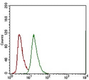 ABCG5 Mouse Monoclonal Antibody
