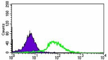 ABCG5 Mouse Monoclonal Antibody