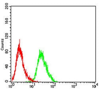 ABCG2 Mouse Monoclonal Antibody