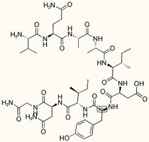 ACP (65-74) amide