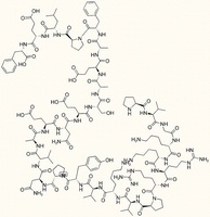 ACTH (12-39)