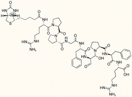 Biotin-Bradykinin