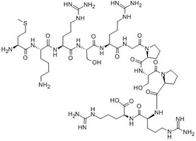 Bradykinin-Like Neuropeptide
