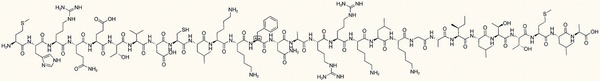 Calmodulin-Dependent Protein Kinase II (281-309)