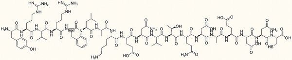 CD36 (93-110)-Cys