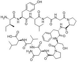 C-Reactive Protein (174-185)