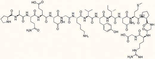 DAP10 Signaling Fragment