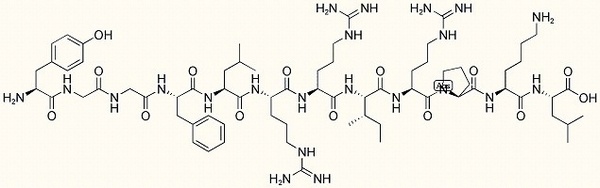 Dynorphin A (1-12)