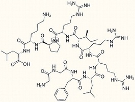 Dynorphin A (2-12)