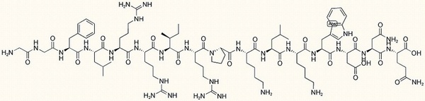 Dynorphin A (2-17)