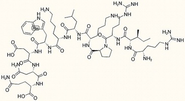 Dynorphin A (7-17)