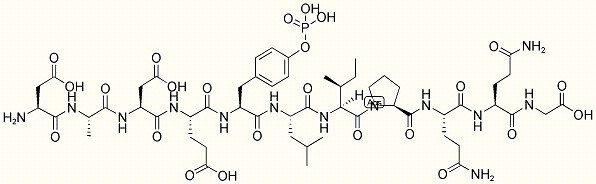 EGF Receptor Substrate 2