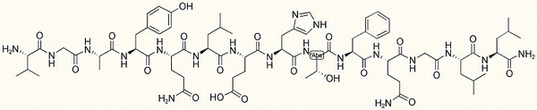 Endokinin D