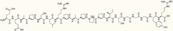 Fibrinogen Beta-Chain (24-42)