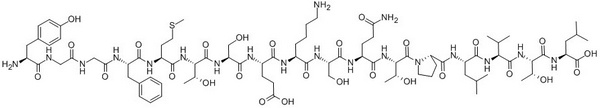 Gamma-Endorphin