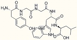Gluten Exorphin B5