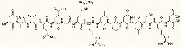 GM-CSF (17-31)