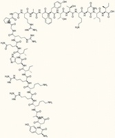 gp120, HIV-1 MN